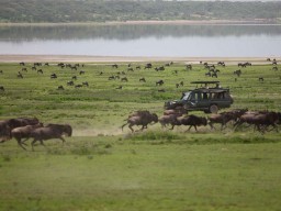 &Beyond Privat Safari - Varied meetings with lots of different animals